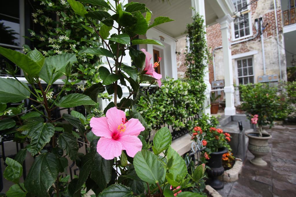 Bed and Breakfast Fleur De Lis Mansion New Orleans Esterno foto