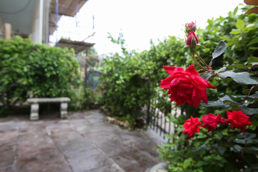 Bed and Breakfast Fleur De Lis Mansion New Orleans Esterno foto