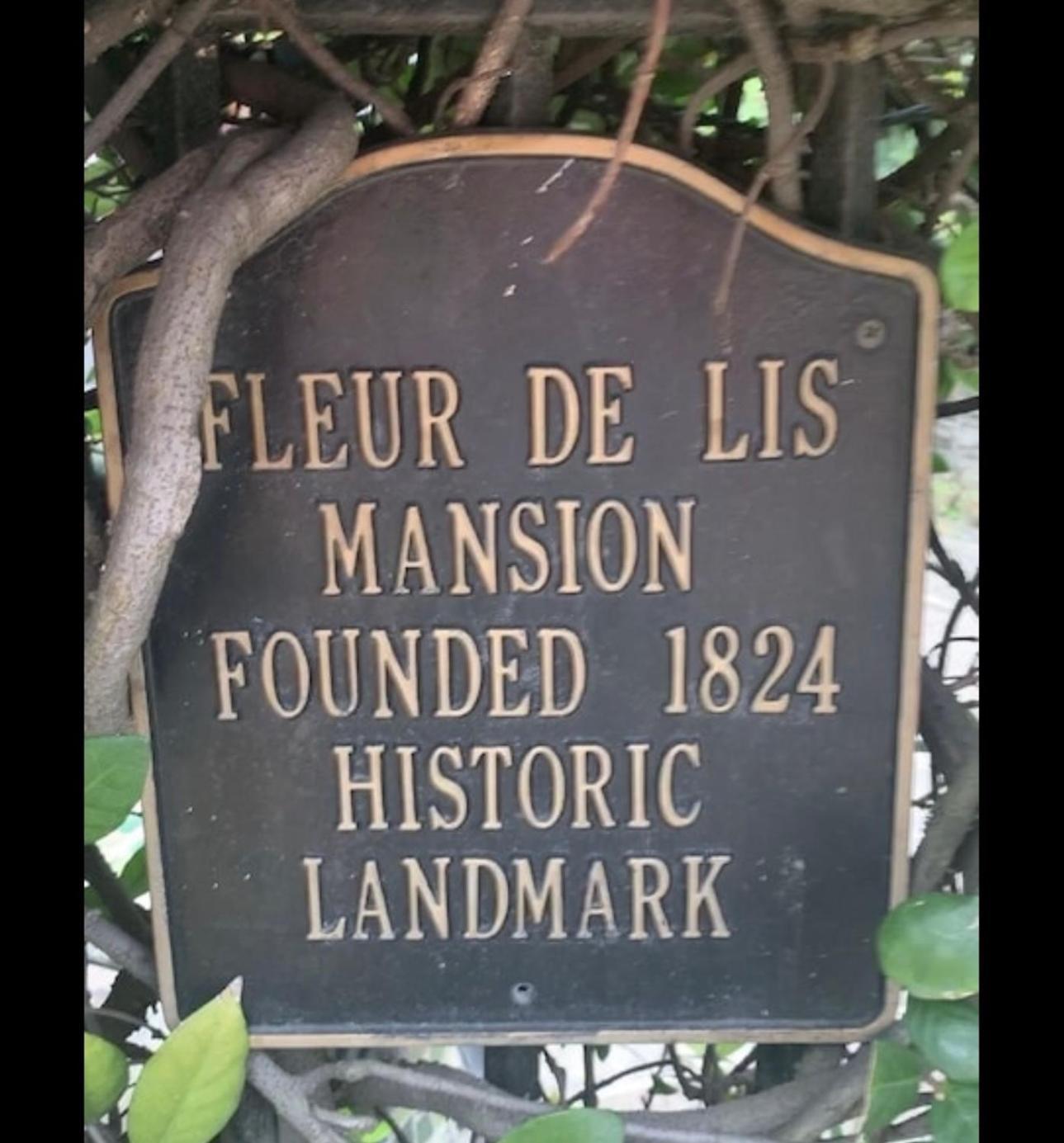 Bed and Breakfast Fleur De Lis Mansion New Orleans Esterno foto